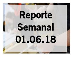 reporte semanal